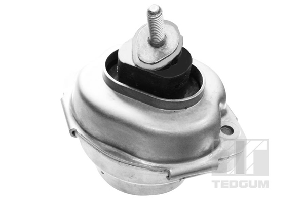 Motorsteun Tedgum 00088466