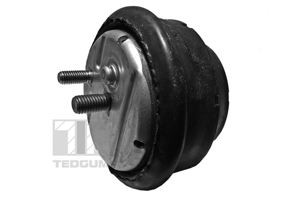 Motorsteun Tedgum 00089808