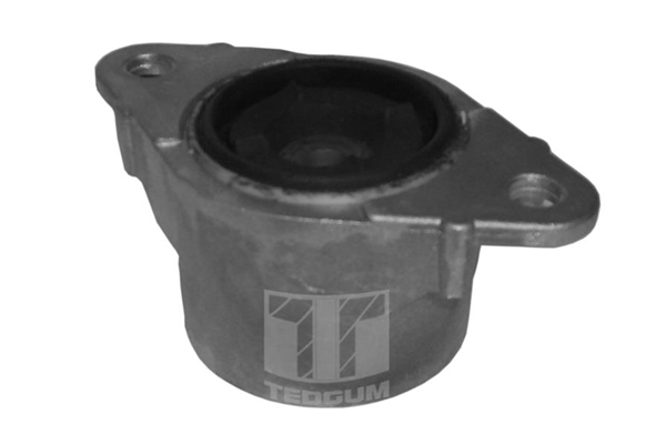 Veerpootlager & rubber Tedgum 00222822