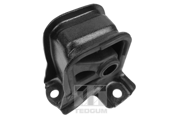 Motorsteun Tedgum 00264856