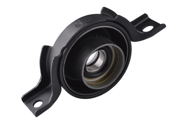 Cardanaslager / ophanging Tedgum 00266765