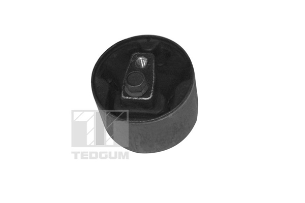 Motorsteun Tedgum 00349747