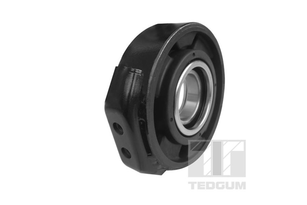 Cardanaslager / ophanging Tedgum 00418851