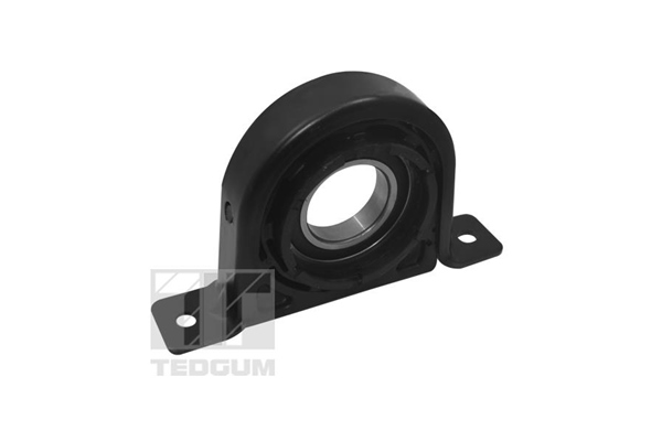 Cardanaslager / ophanging Tedgum 00469377