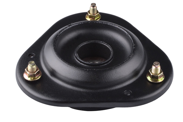 Veerpootlager & rubber Tedgum 00671803