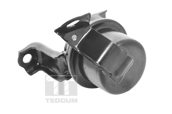 Motorsteun Tedgum TED11362