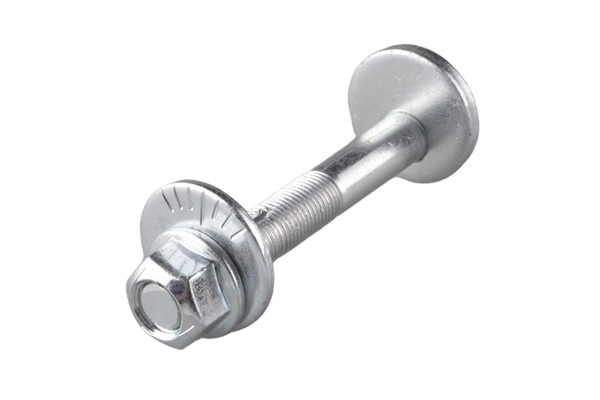 Schroef Tedgum TED21971