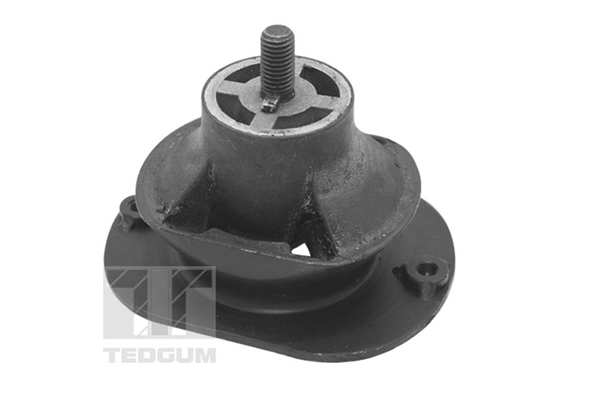 Motorsteun Tedgum TED40521