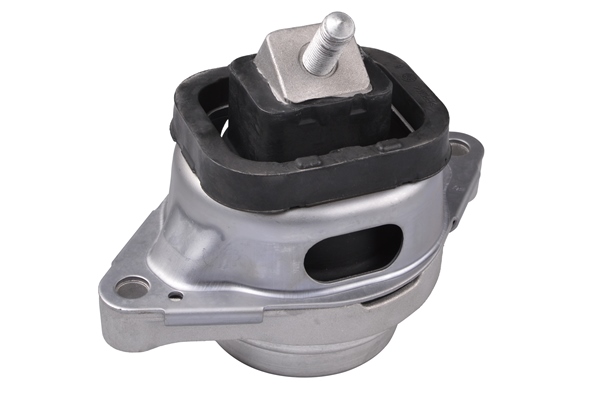 Aslichaam-/motorsteunlager Tedgum TED46116