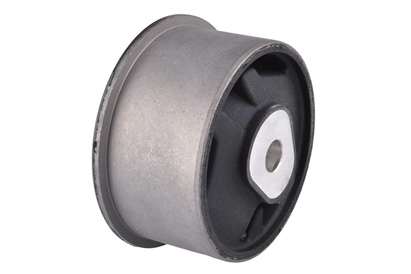 Aslichaam-/motorsteunlager Tedgum TED46652