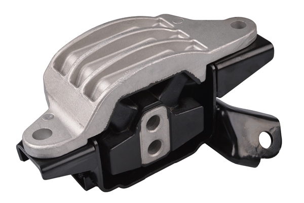 Aslichaam-/motorsteunlager Tedgum TED50169