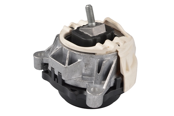 Aslichaam-/motorsteunlager Tedgum TED55453