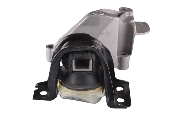 Aslichaam-/motorsteunlager Tedgum TED60891