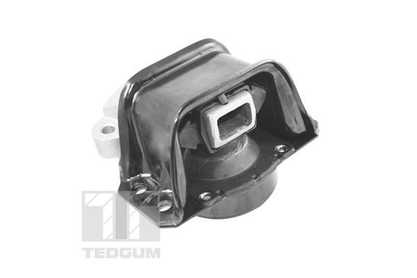 Motorsteun Tedgum TED70595