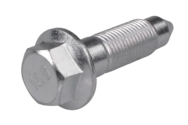 Schroef Tedgum TED71988