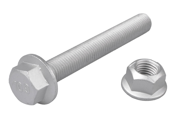 Schroef Tedgum TED74916