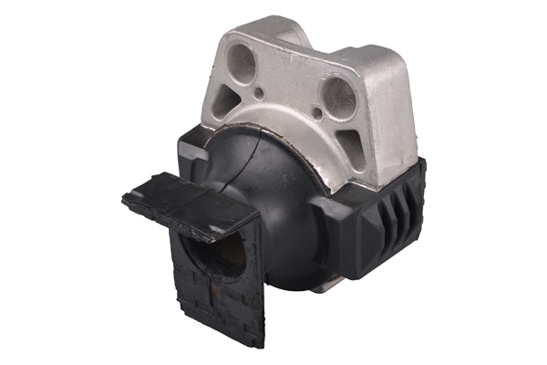 Aslichaam-/motorsteunlager Tedgum TED75083