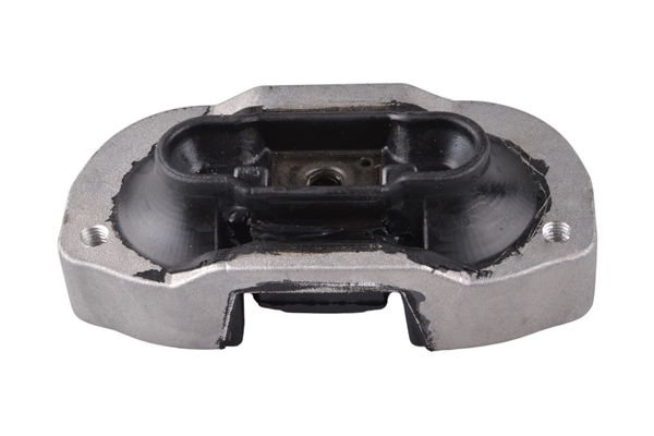 Aslichaam-/motorsteunlager Tedgum TED77910