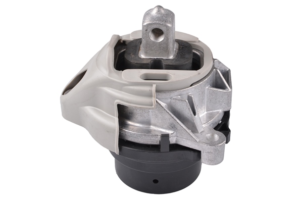 Aslichaam-/motorsteunlager Tedgum TED87717