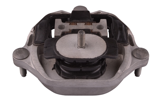 Aslichaam-/motorsteunlager Tedgum TED92982