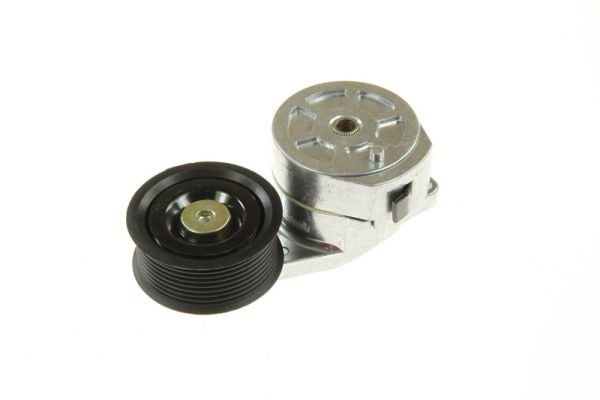 Riemspanner, Poly V-riem BTA B05-01-010