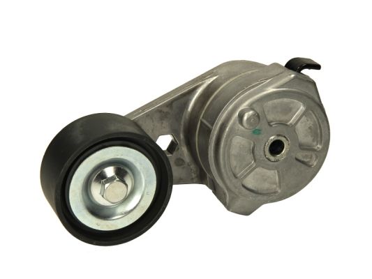 Riemspanner, Poly V-riem BTA B05-01-020