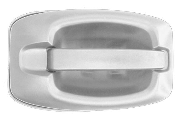 Portiergreep buitenkant Pacol IVE-DH-0015