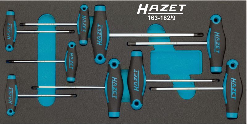 Schroevendraaierset Hazet 163-182/9