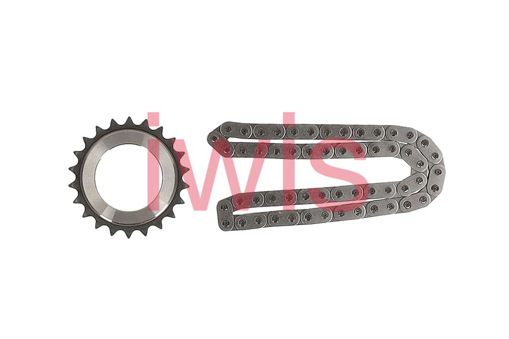 Oliepomp aandrijfketting Iwis Motorsysteme 74638Set