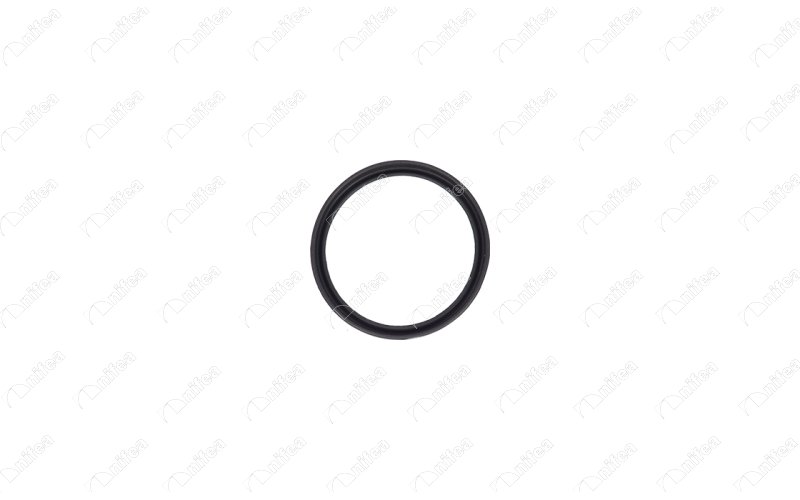 Laadlucht-/turboslang Nifea 11618