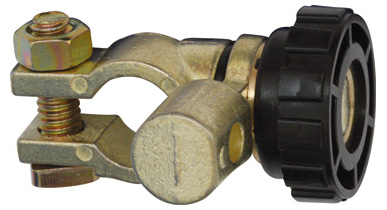 Hoofdschakelaar Restagraf 217324