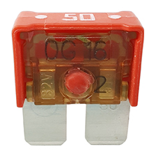 Zekering Restagraf 217507