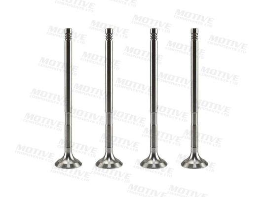 Uitlaatklep Motive EV10010