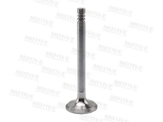 Uitlaatklep Motive EV2759
