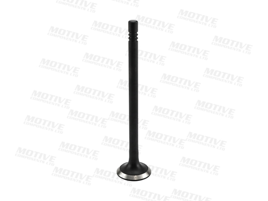 Uitlaatklep Motive EV6571