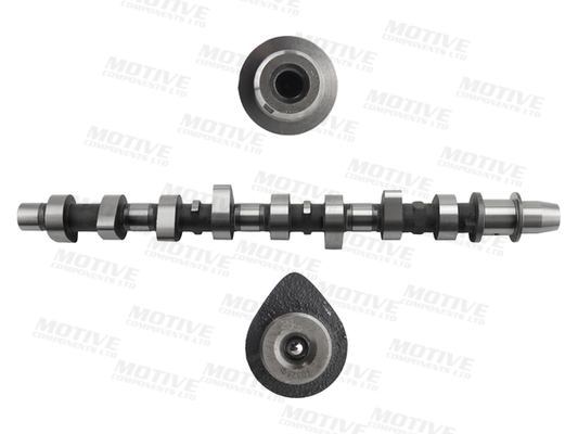 Nokkenas Motive T2212