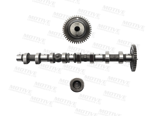 Nokkenas Motive T4406