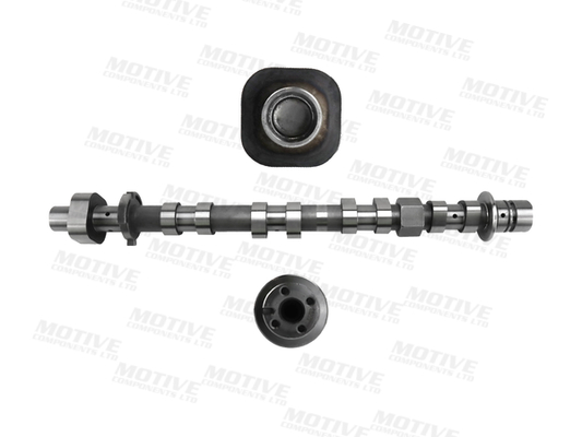 Nokkenas Motive T4539