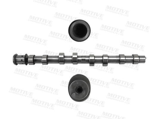 Nokkenas Motive T4547