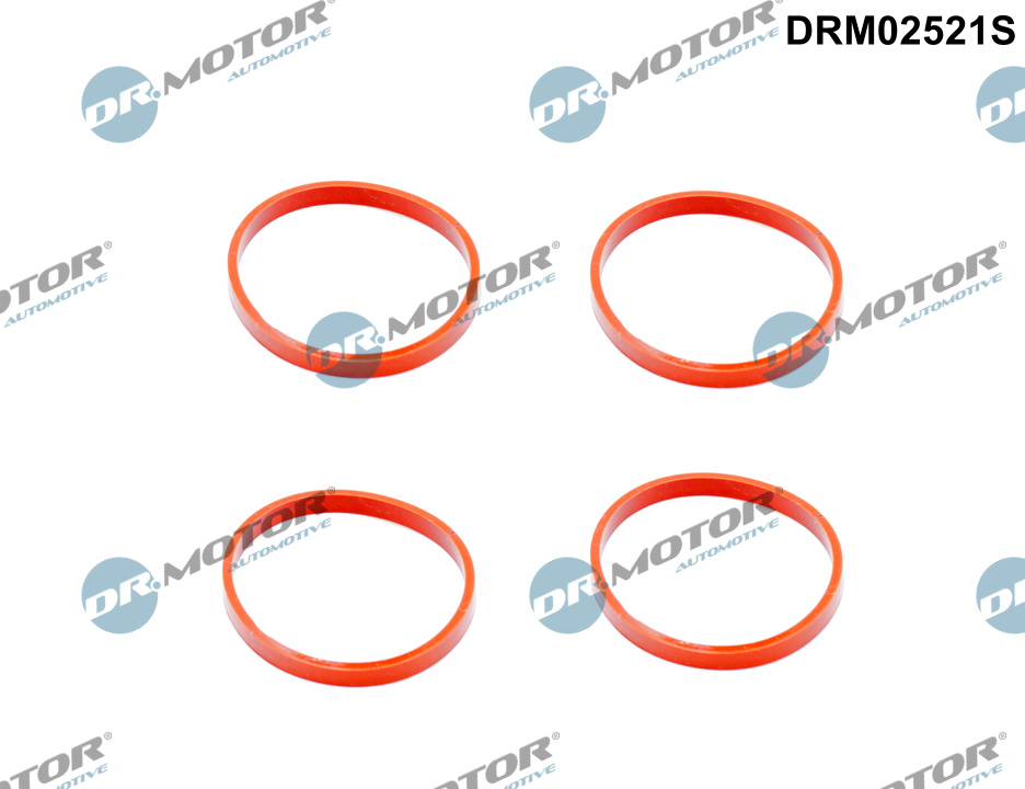 Pakkingset, inlaatspruitstuk Dr.Motor Automotive DRM02521S