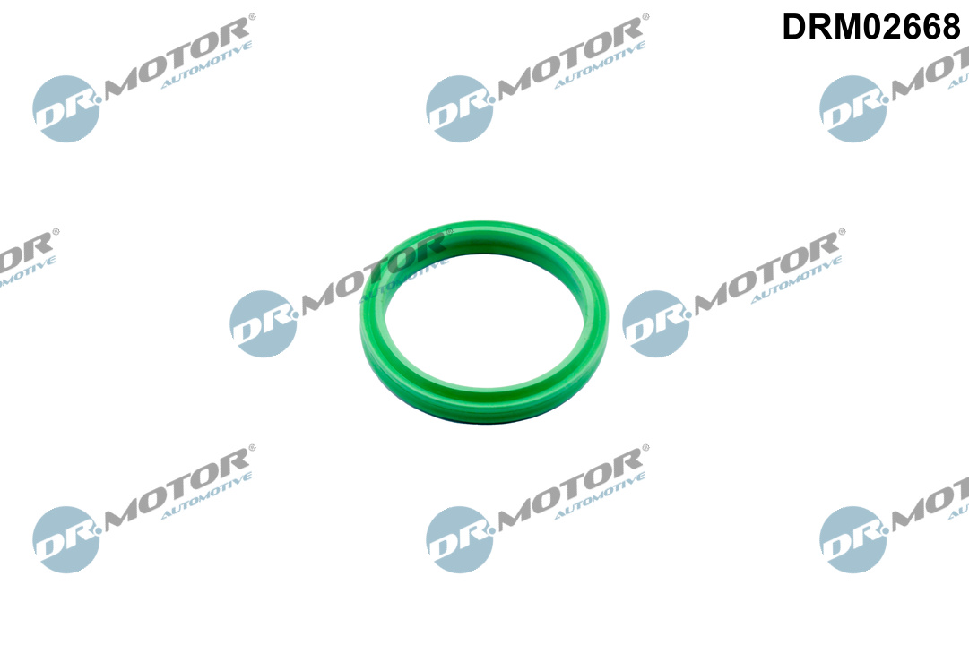 Dichtring, laadluchtslang Dr.Motor Automotive DRM02668