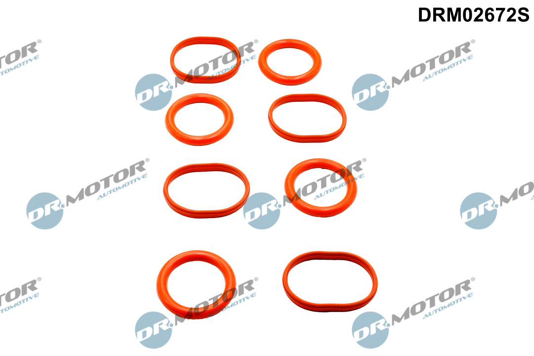 Pakkingset, inlaatspruitstuk Dr.Motor Automotive DRM02672S