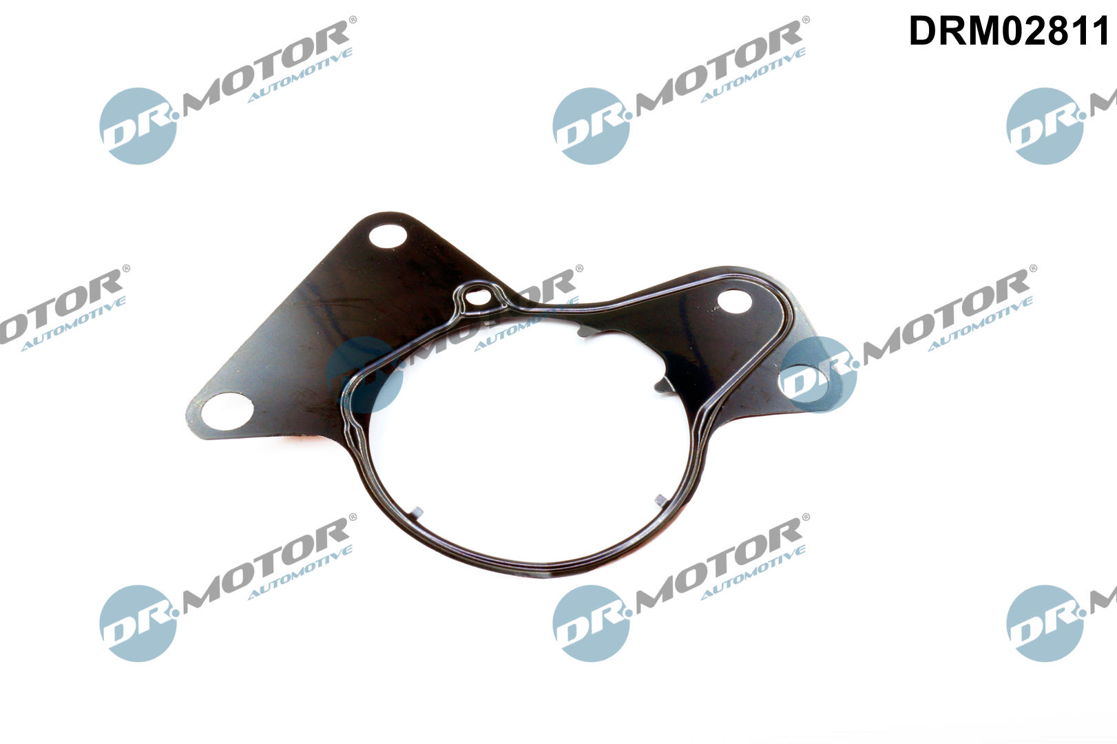 Pakking, brandstofpomp Dr.Motor Automotive DRM02811