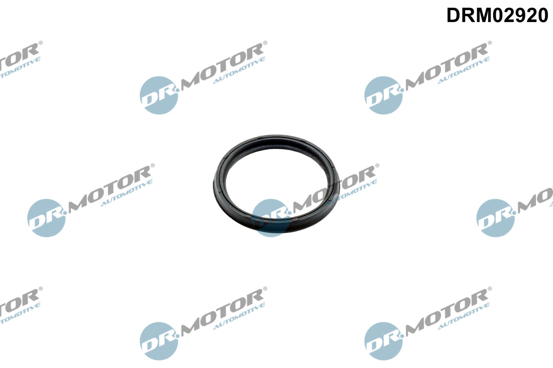 Dichtring, laadluchtslang Dr.Motor Automotive DRM02920
