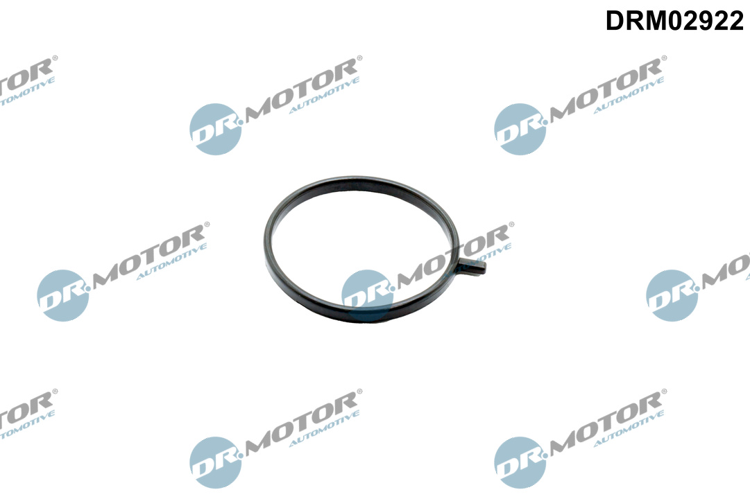 Afdichtring, turbolader Dr.Motor Automotive DRM02922