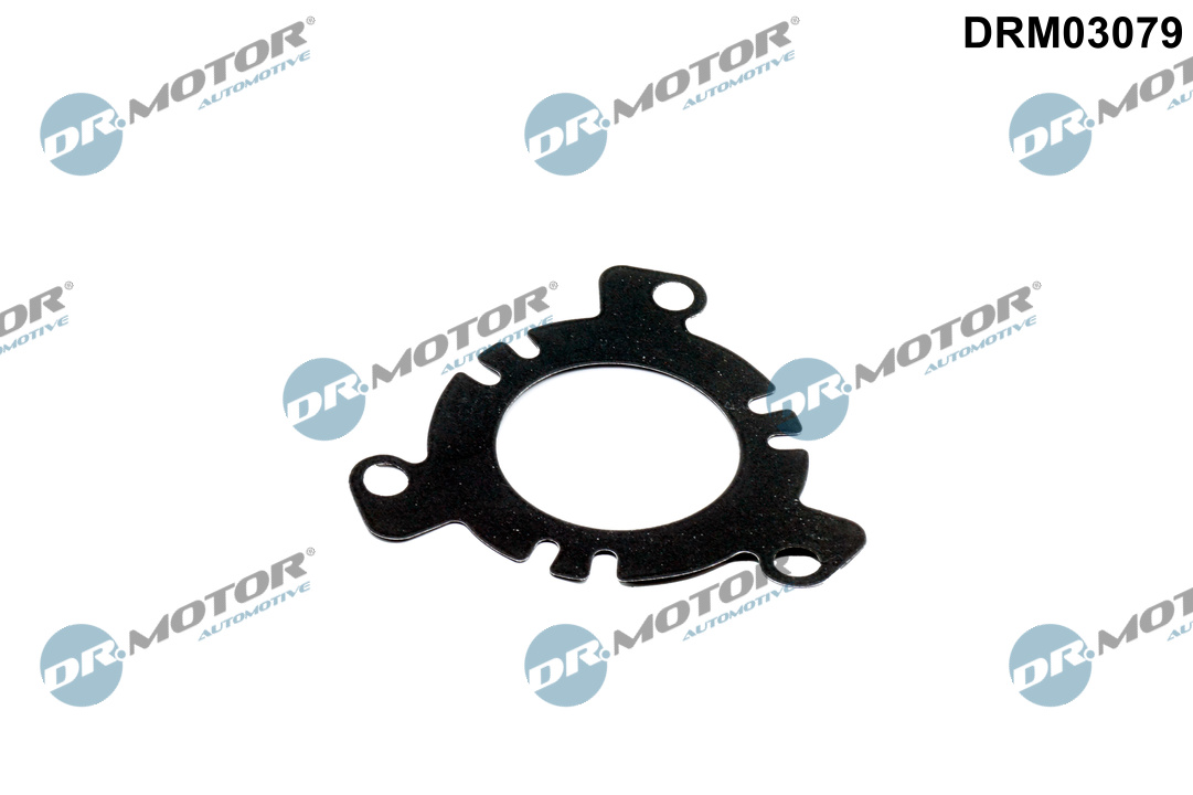 Pakking, inspuitpomp Dr.Motor Automotive DRM03079