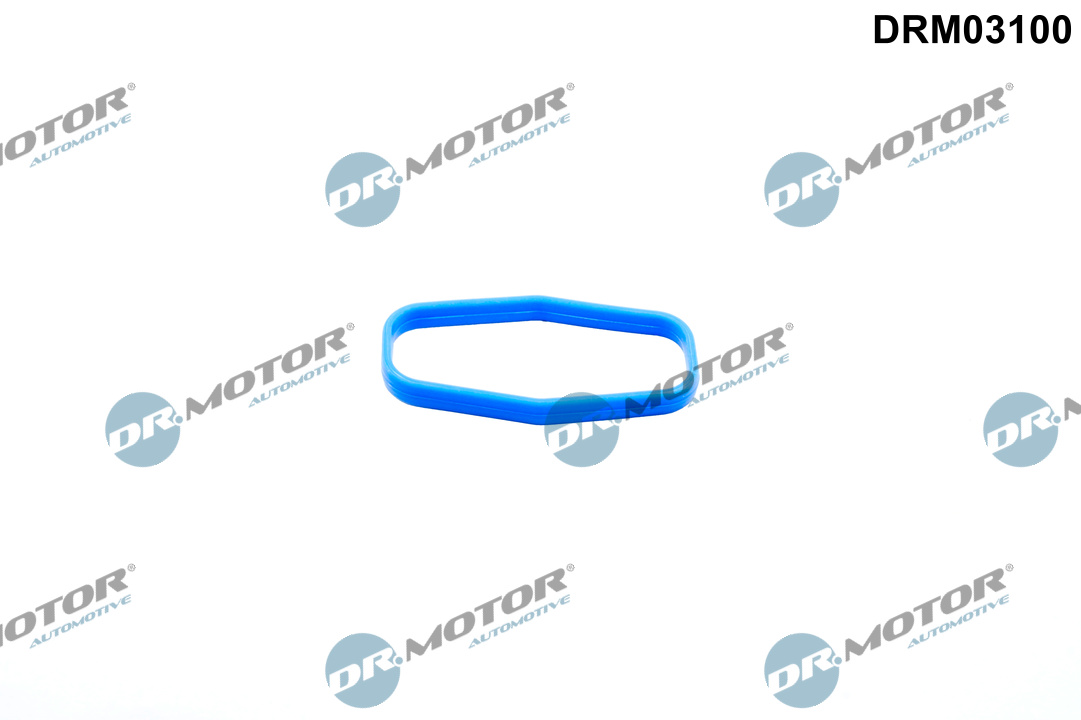 Pakking, oliepomp Dr.Motor Automotive DRM03100