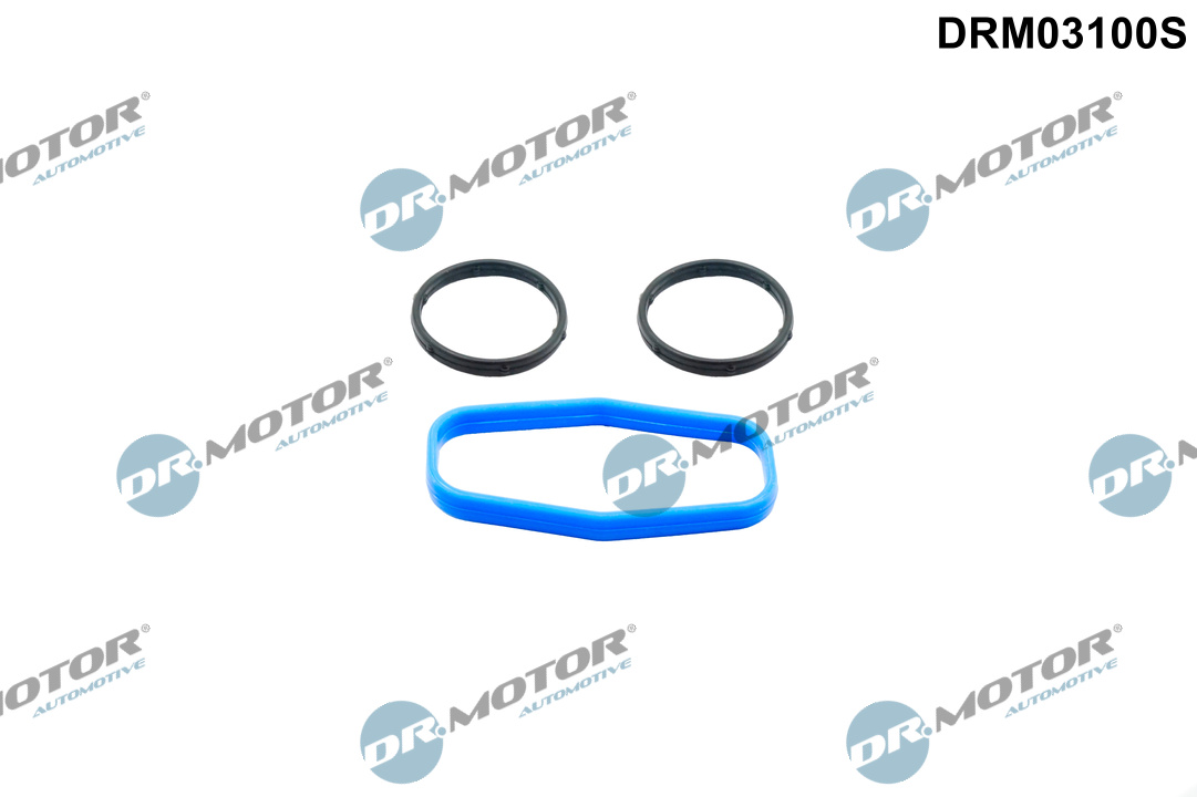 Afdichtingsset, oliepomp Dr.Motor Automotive DRM03100S