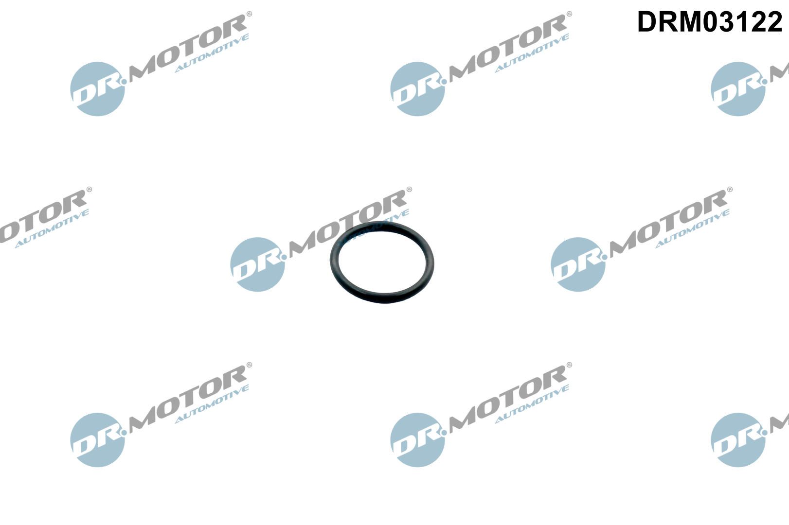 Pakking, Carter Dr.Motor Automotive DRM03122