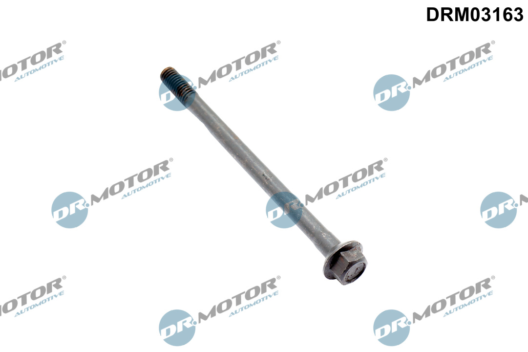 Schroef, inspuitstukhouder Dr.Motor Automotive DRM03163